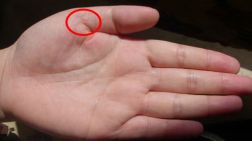 Xem chỉ tay có đường này, biết ngay phụ nữ có mệnh phượng hoàng, số hưởng giàu sang