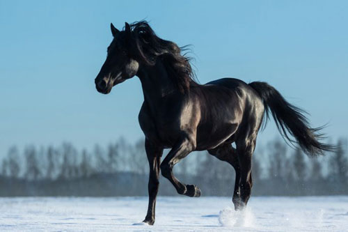 Số trời đã định, 1 tháng nữa, 3 con giáp được Thần Tài 'gõ cửa', gặp vận đào hoa, thoát ế ngoạn mục