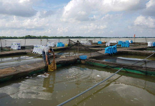 Tác động của dịch Covid-19 đến khu vực kinh tế tập thể, hợp tác xã