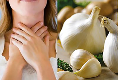 Bạn phải hối hận cả đời nếu không nắm ngay các cách cấp cứu kịp thời bằng cây thuốc dân gian có mặt xung quanh ta