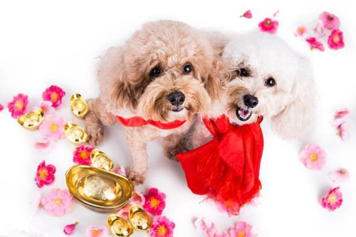 Con gi&#xE1;p nh&#x1EAD;n l&#x1ED9;c ti&#x1EC1;n t&#xE0;i r&#x1EA3;i &#x111;&#x1EC1;u c&#x1EA3; n&#x103;m, c&#xF3; th&#x1EC3; s&#x1EBD; th&#xE0;nh c&#xF4;ng, ph&#xE1;t t&#xE0;i