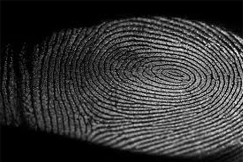 Xem tướng, hoa tay, xem bói, phụ nữ, nam giới, đàn ông, tình yêu, hạnh phúc, nấu ăn, món ngon, ẩm thực