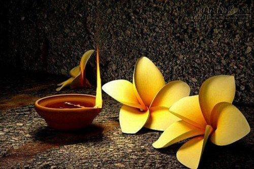 Làm người toan tính quá nhiều rồi sẽ mang họa diệt thân