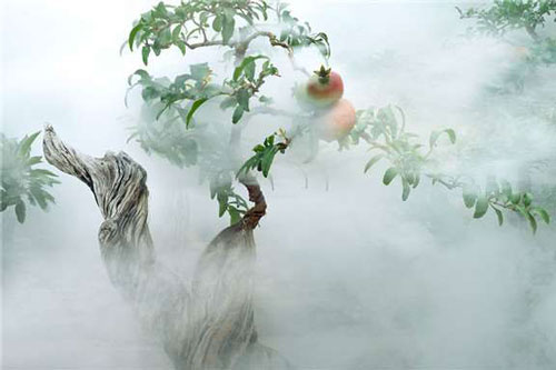 50 tuổi về sau, chuyện đời như đá mòn trong nước, như gió thổi mây trôi