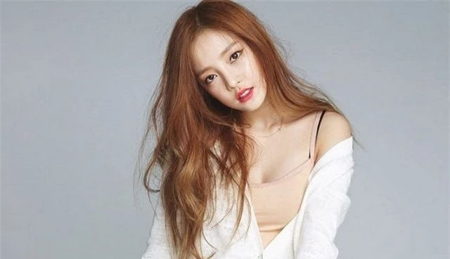 Bi kịch tranh chấp tài sản thừa kế của gia đình Goo Hara - 3