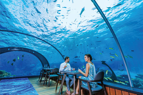 Khám phá những quán ăn độc lạ