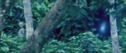 Hình ảnh chụp lại từ đoạn video được cho là đã quay được người ngoài hành tinh ở rừng Amazon vào tháng 10. Ảnh: Regularweirdo.com