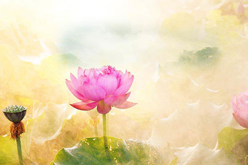 "Mía ngọt 2 đầu" - hiểu được nguyên lý này bạn sẽ mãi mãi là người hạnh phúc