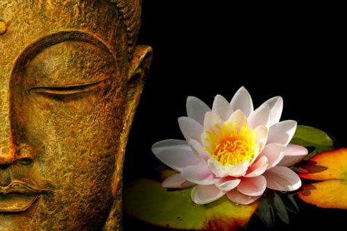 Phật dạy cách đối nhân xử thế với kẻ bạc tình