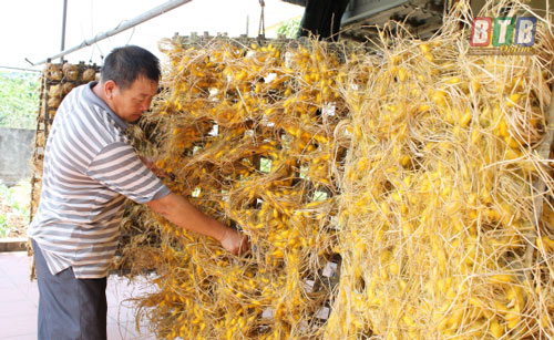 Thái Bình: Làm giàu từ nghề “ăn cơm đứng”