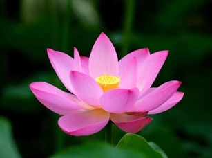 Ghi nhớ 3 điều này, mọi chông gai đường đời đều biến thành nhỏ bé