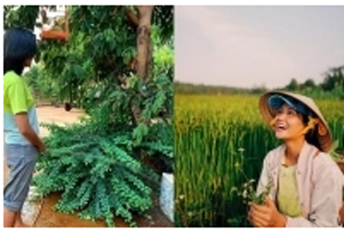 H'Hen Niê đăng ảnh khiến cư dân mạng tranh cãi nảy lửa vì quá nhạy cảm