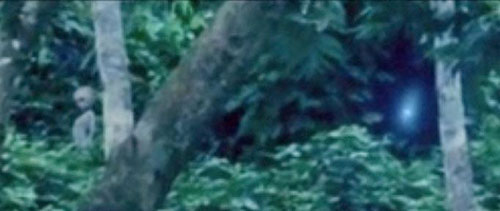 "Người ngoài hành tinh" mê vàng?