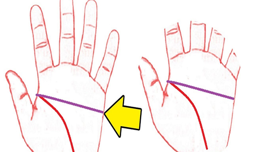 Mở lòng bàn tay ra xem: May mắn sở hữu bàn tay chữ nhất là người được thần tài nâng đỡ, có quyền lực