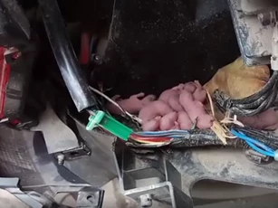 Nhà có những điểm này phải cẩn trọng kẻo gặp tai họa, hãy hóa giải ngay kẻo hối không kịp