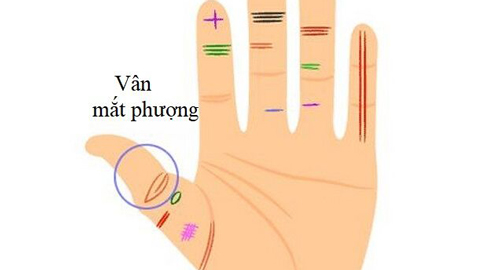 Xòe bàn tay và quan sát, nét quý tướng nếu xuất hiện dù bạn muốn nghèo cũng khó