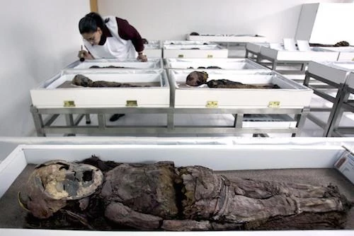 Chinchorro được biết đến như xác ướp lâu đời nhất thế giới. Ảnh: vnexpress.net
