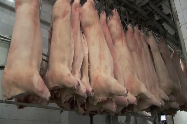 Sau tháng 6, nguồn cung thịt lợn mới có khả năng tăng mạnh