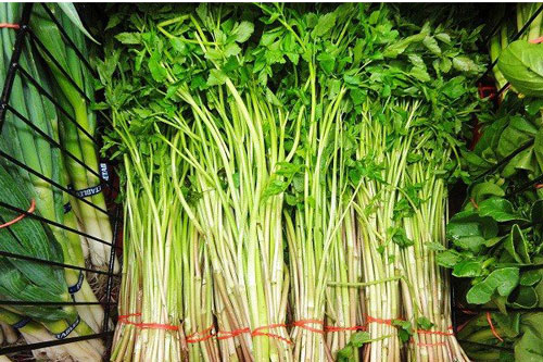 Vì sao không nên ăn rau cần nhúng tái?