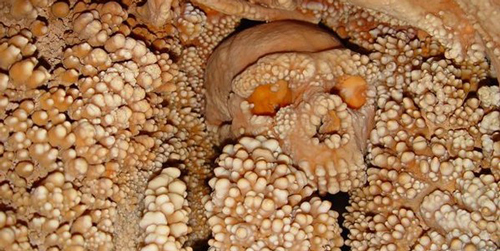 Hãi hùng khi phát hiện bộ xương gần 200.000 năm tuổi “mọc” đầy răng