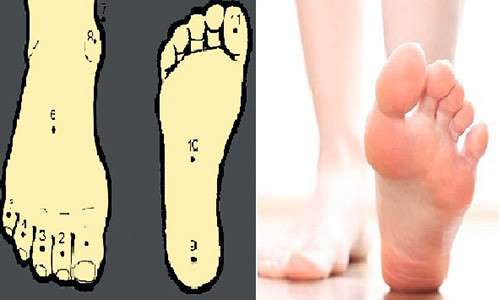 Sở hữu đôi chân như thế này cả đời bạn có thể ngồi trên tiền, cuộc sống an nhàn sung sướng chẳng cần lo nghĩ