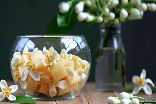 Hoa b&#x1B0;&#x1EDF;i kh&#xF4;ng ch&#x1EC9; gi&#xFA;p m&#x1EB9; l&#xE0;m &#x111;&#x1EB9;p, ch&#x1B0;ng v&#x1EDB;i g&#x1EEB;ng s&#x1EBD; th&#xE0;nh b&#xE0;i thu&#x1ED1;c tr&#x1ECB; ho cho con hi&#x1EC7;u qu&#x1EA3;