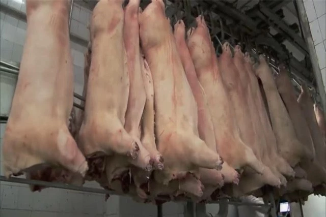 Sau tháng 6, nguồn cung thịt lợn mới có khả năng tăng mạnh - Ảnh 1.