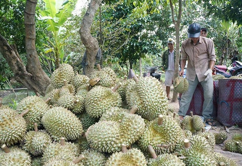 Ảnh minh họa: Báo Người Lao động.