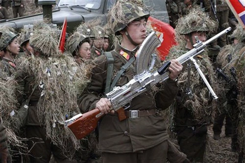 Những người lính hoặc những đơn vị xuất sắc của lục quân Triều Tiên thường được tặng khẩu súng máy Type-73 mạ bạc. Đây được coi là biểu tượng sức mạnh của bộ binh nước này.