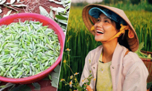 Đặc sản 'hú hồn' ở Đăk Lăk được H'Hen Niê yêu thích