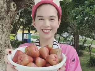 Ngọc Trinh trổ tài trèo cây nhanh thoăn thoắt để hái cả rổ mận