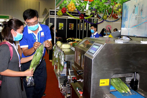 Học cách ứng biến với thị trường nội địa