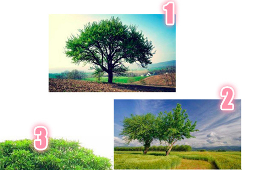 Trắc nghiệm: Lòng tự trọng của bạn cao đến đâu?