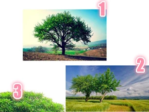 Trắc nghiệm: Lòng tự trọng của bạn cao đến đâu?