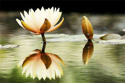 Làm được 8 điều này sẽ có thể không bao giờ phải lo thiếu vinh hoa phú quý trong đời