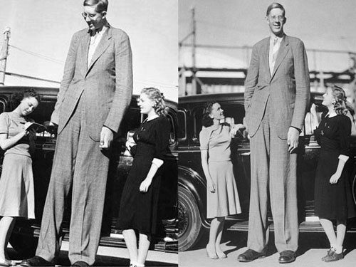 Top 10 người cao nhất thế giới từng được ghi nhận