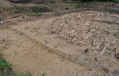 Phát hiện ngôi nhà cổ được xây dựng bằng xương voi ma mút ở Nga