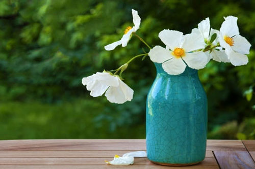 Trên đời này, thứ gì khiến con người hạnh phúc nhất? Đừng đợi đến khi già rồi mới ngộ ra