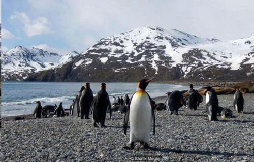 Có một “thế giới biệt lập" ở Nam Cực