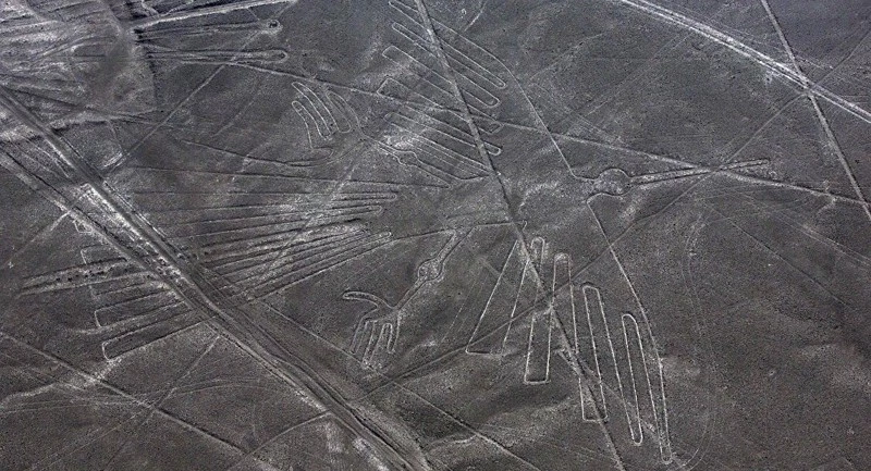 Hình vẽ một con chim khổng lồ tại Peru. Ảnh: Sputnik