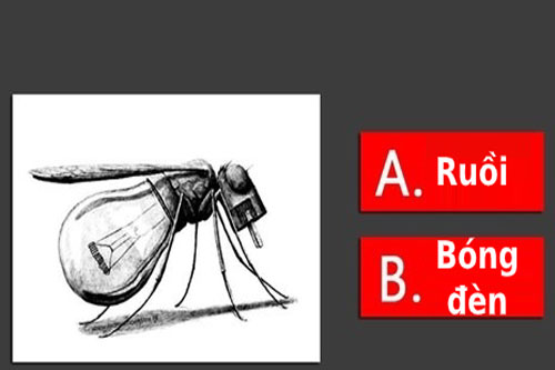 Trắc nghiệm: Bạn bị chi phối bởi lý trí hay con tim?