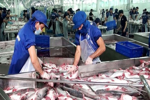 Doanh nghiệp thủy sản sụt giảm 35 – 50% đơn hàng do COVID-19