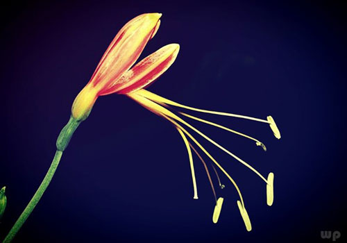 Trong cuộc sống này, có ba điều không nên phung phí