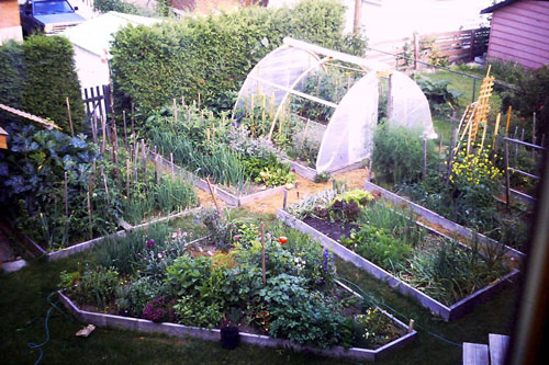 Khu vườn trên núi xinh đẹp nhờ cách thiết kế sáng tạo của người đàn ông yêu thiên nhiên