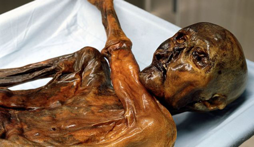 Cận cảnh 61 hình xăm trên xác ướp người băng Otzi