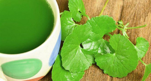 Những lợi ích "thần kì" của rau má mà rất nhiều người vẫn coi như "rau dại"