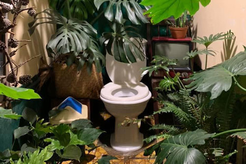 Loạt mẫu nhà vệ sinh gần gũi với thiên nhiên thu hút sự chú ý của cộng đồng mạng