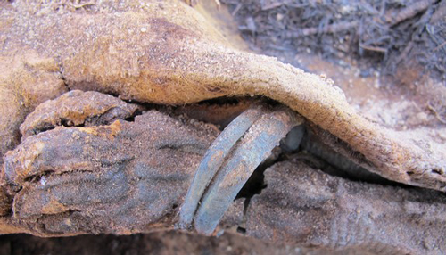 'Kinh hãi' phát hiện nghĩa địa cổ chứa hơn 1 triệu xác ướp