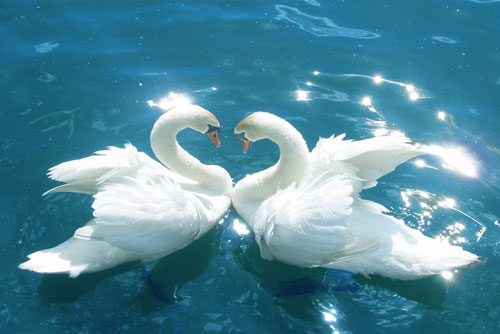 Đức Phật dạy về 3 cảnh giới hạnh phúc, ai cũng nắm trong tay nhưng đều bỏ quên