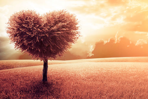 Hạnh phúc không phải nhà bạn rộng bao nhiêu, mà là trong nhà có bao nhiêu tiếng cười